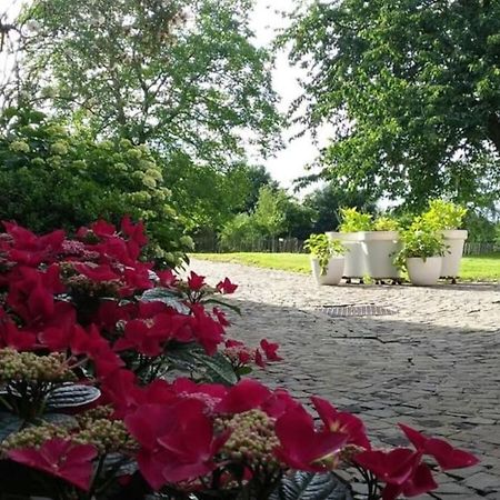 Country House Clos Des Hortensias Blegny Buitenkant foto